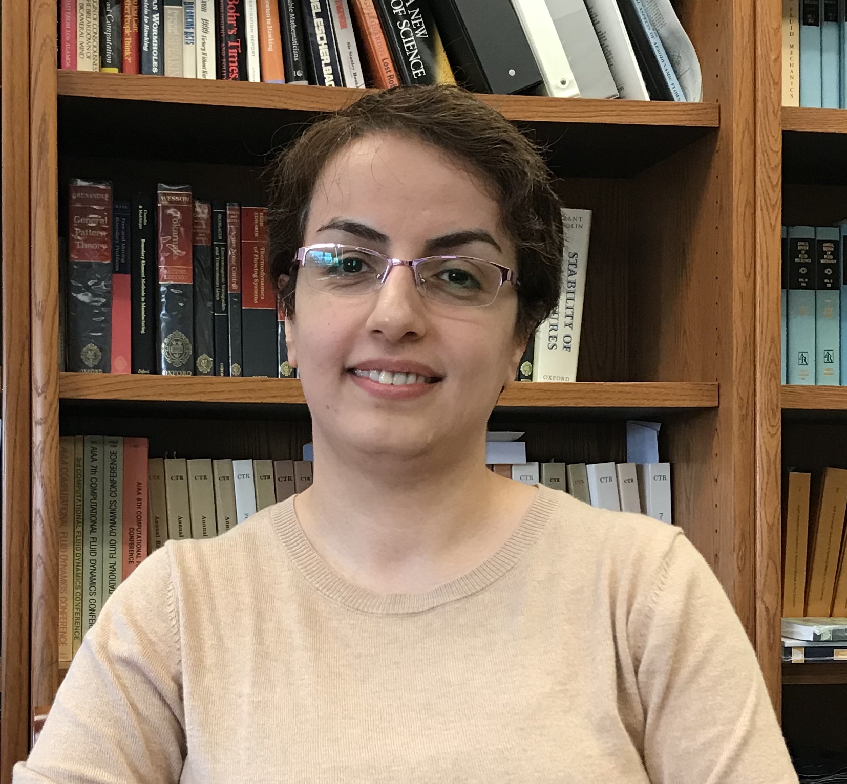 Somayeh Mashayekhi